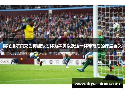 揭秘维尔贝克为何被球迷称为黑贝以及这一称号背后的深层含义 揭秘维尔贝克为何被球迷称为黑贝以及这一称号背后的深层含义